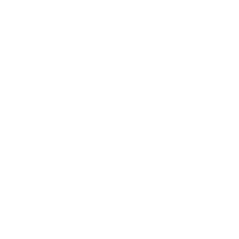 Primekey Media Photo/Video Icon